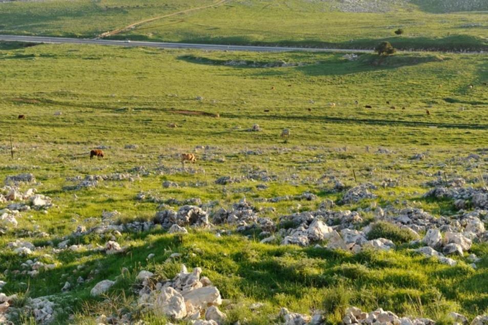 קאמי מלון בוטיק Safed Luaran gambar